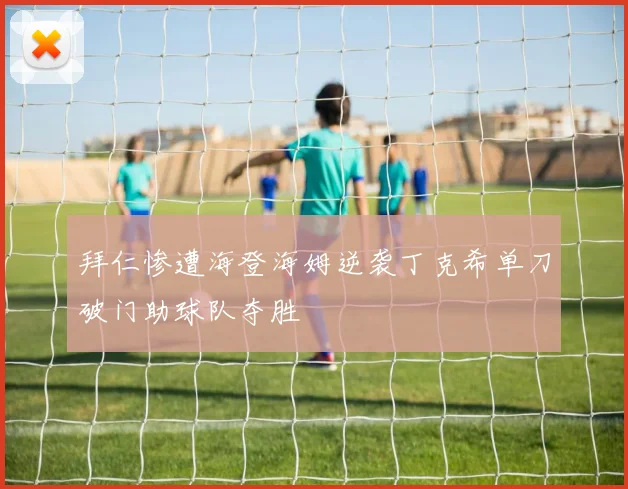 拜仁惨遭海登海姆逆袭丁克希单刀破门助球队夺胜