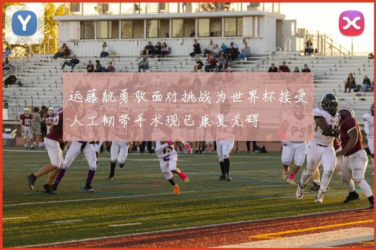 远藤航勇敢面对挑战为世界杯接受人工韧带手术现已康复无碍